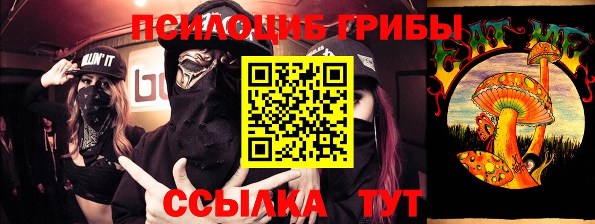 Псилоцибиновые грибы Psilocybe  Вход с VPN  Галлюциногенные грибы GOLDEN TEACHER  Будённовск 